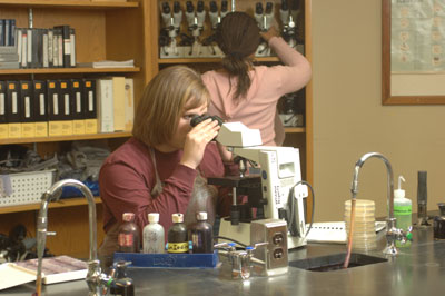 Student working in a lab with a microscope.